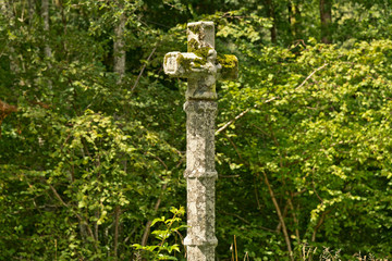 Close up Old Cross Statue at the Forest