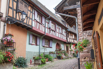 Fototapeta na wymiar Maisons à colombages dans les ries d'Eguisheim, Alsace