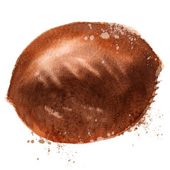 coconut vector logo design template. food or Walnut icon.