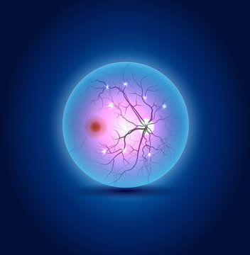 Anatomy of the eye fundus, beautiful blue design