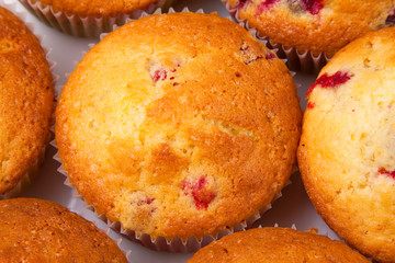 Some delicious muffins with cranberries