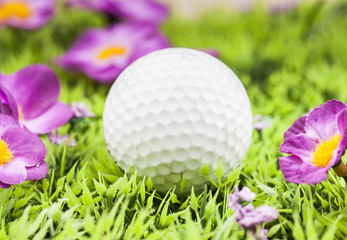 Golf ball on green grass