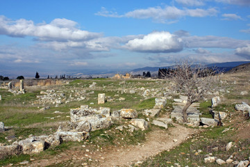 Fototapeta na wymiar the ruins of the ancient city of Hierapolis, Turkey
