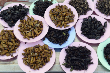 ASIA THAILAND ISAN AMNAT CHAROEN