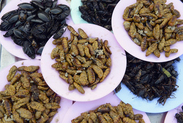 ASIA THAILAND ISAN AMNAT CHAROEN