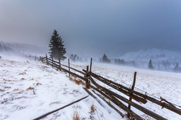 Clearing Snow Storm in the Rocky Mountains