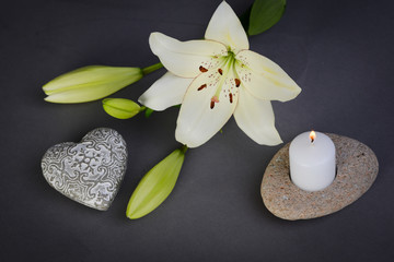 Fototapeta na wymiar beautiful single white lily with heart shape and candle