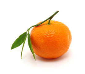 mandarin