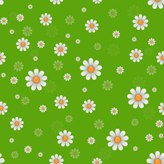 Daisy flowers texture. Vector