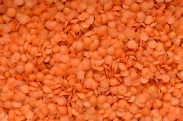 Foto op Canvas close up red lentil beans background © pasha66