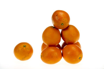 orange on white background