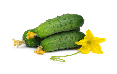 green cucumber\