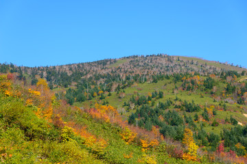 Mt.Hachimantai in autumn, in Iwate and Akita, Japan