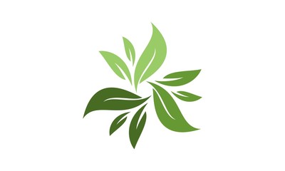 Leaf Logo Design Template