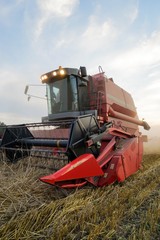 Fototapeta premium Roter Mähdrescher bei der Ernte, am Abend