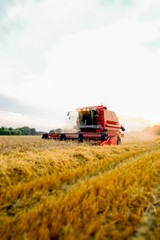 Roter Mähdrescher bei der Ernte