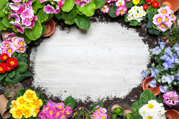 Frame of spring flower and gardening tools