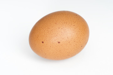 single egg