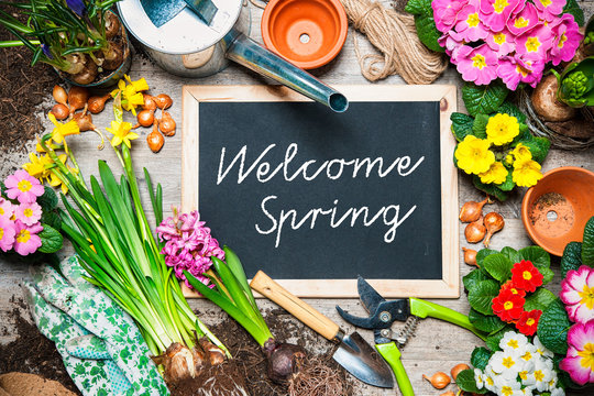 Welcome spring sign