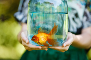 Jar with gold fish in hands