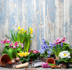 Frühling, Blumen, Gartenarbeit