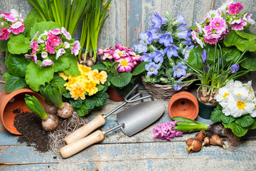 Frühling, Blumen, Gartenarbeit