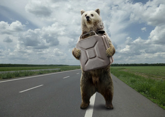 Bear canister,standing on the road.
