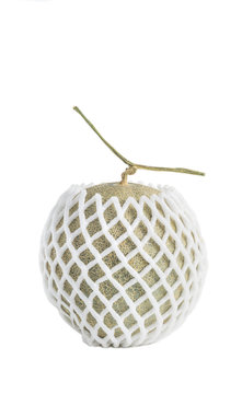 Net foam  wrap Melon on white background