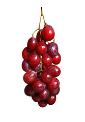 red grapes fruit isolated