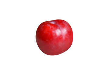 plum fruit isolated