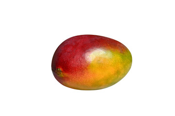 mango, fruit isolated