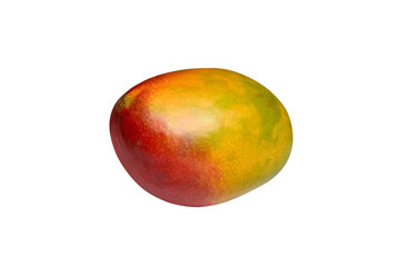 mango fruit isolated
