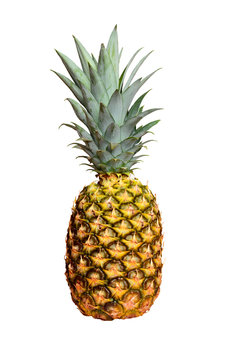 pineapple fruit isolated