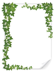 Fototapeta premium white paper sheet decorated ivy