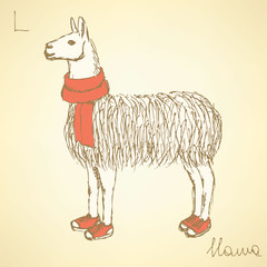 Sketch fancy llamal in vintage style - 78441230