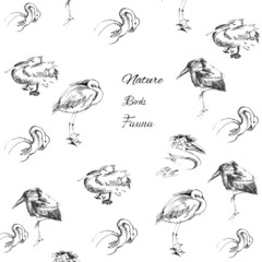 Background with birds-02