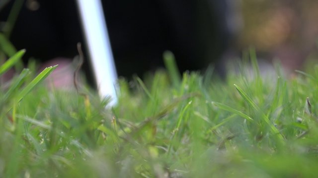 Driving the Ball, Pitching, Hitting, Golf Swing