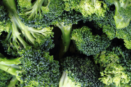 fresh green broccoli as food background