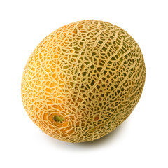 melon on a white background
