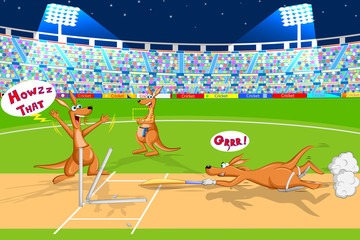 Kangaroo playing cricket