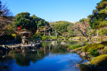 Fototapeta na wymiar Autumn foliage in the Kyu-Furukawa Gardens, Tokyo