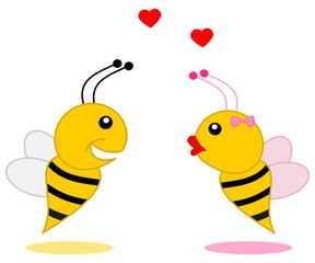 male bee that found his partner