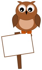 an owl looking at the sign