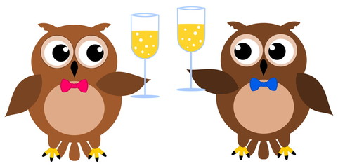2 owls at a party with champagne glass