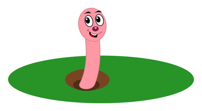 a worm coming out of its burrow