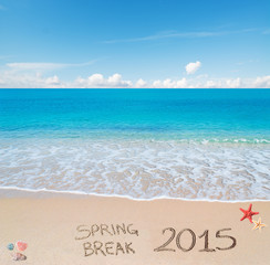 Fototapeta na wymiar spring break 2015 on the sand