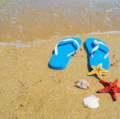 Fototapeta na wymiar blue sandals with starfish and shells by the shore