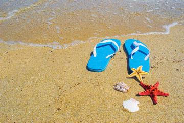 blue sandals with starfish and shells by the shore