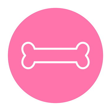 an bone on pink background icon