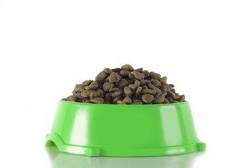 Dog food in green bowl, isolated, white background